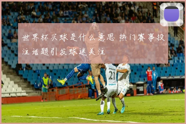 世界杯买球是什么意思 热门赛事投注话题引发球迷关注
