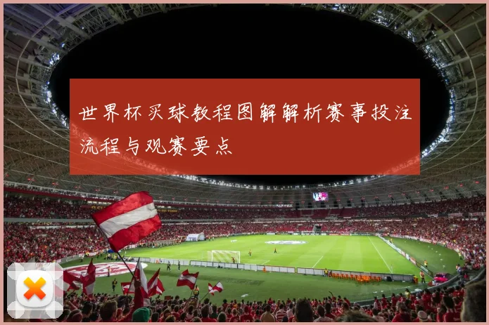 世界杯买球教程图解解析赛事投注流程与观赛要点