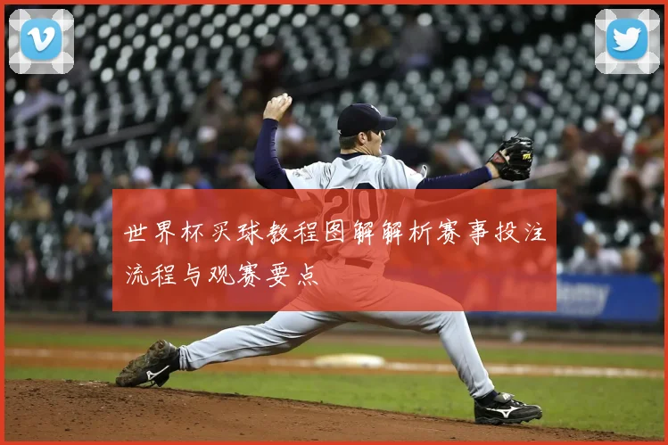世界杯买球教程图解解析赛事投注流程与观赛要点