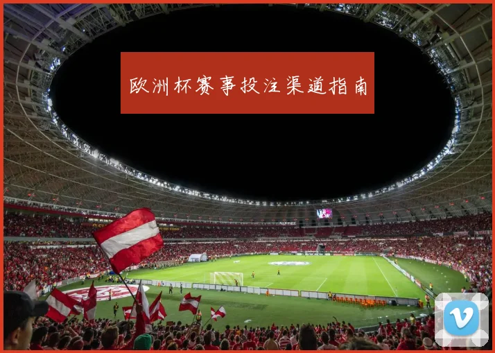 欧洲杯赛事投注渠道指南
