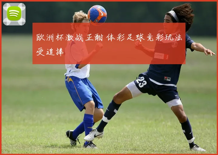 欧洲杯激战正酣 体彩足球竞彩玩法受追捧