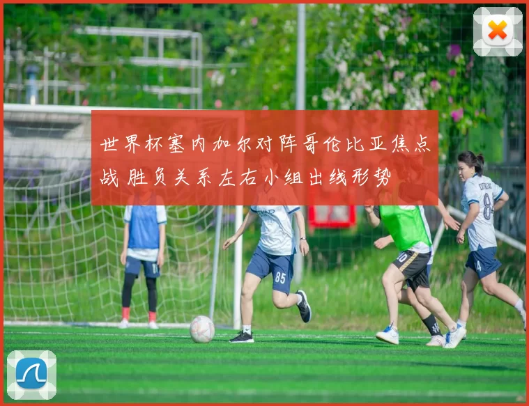 世界杯塞内加尔对阵哥伦比亚焦点战 胜负关系左右小组出线形势